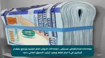 <p><strong>انخفاض مستمر..</strong> الدولار أمام الجنيه يتراجع بمقدار قرشين في 4 أيام فقط ويعيد ترتيب السوق المالي.</p>